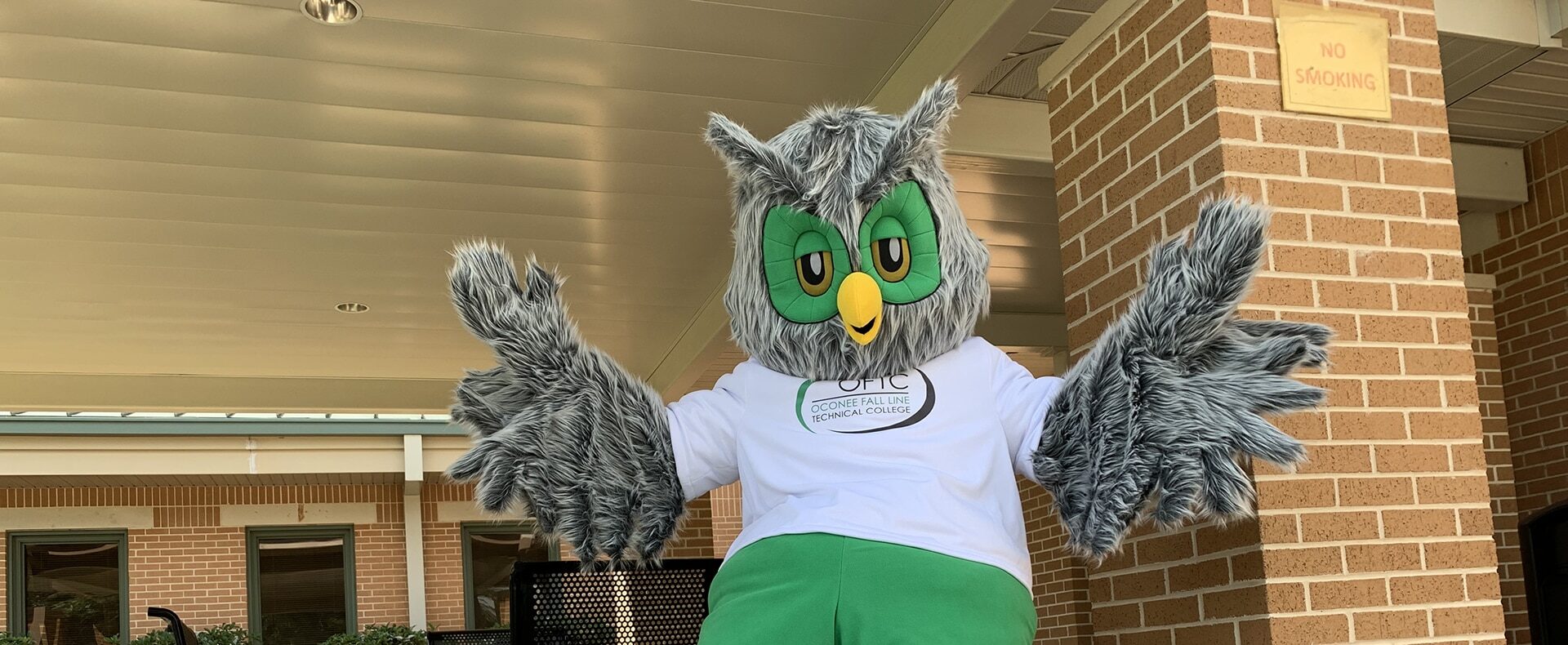 An owl mascot with gray feathers, green shorts, and a white shirt sits on the edge of a brick wall, extending its wings playfully. The background features a covered outdoor area with tables and greenery.