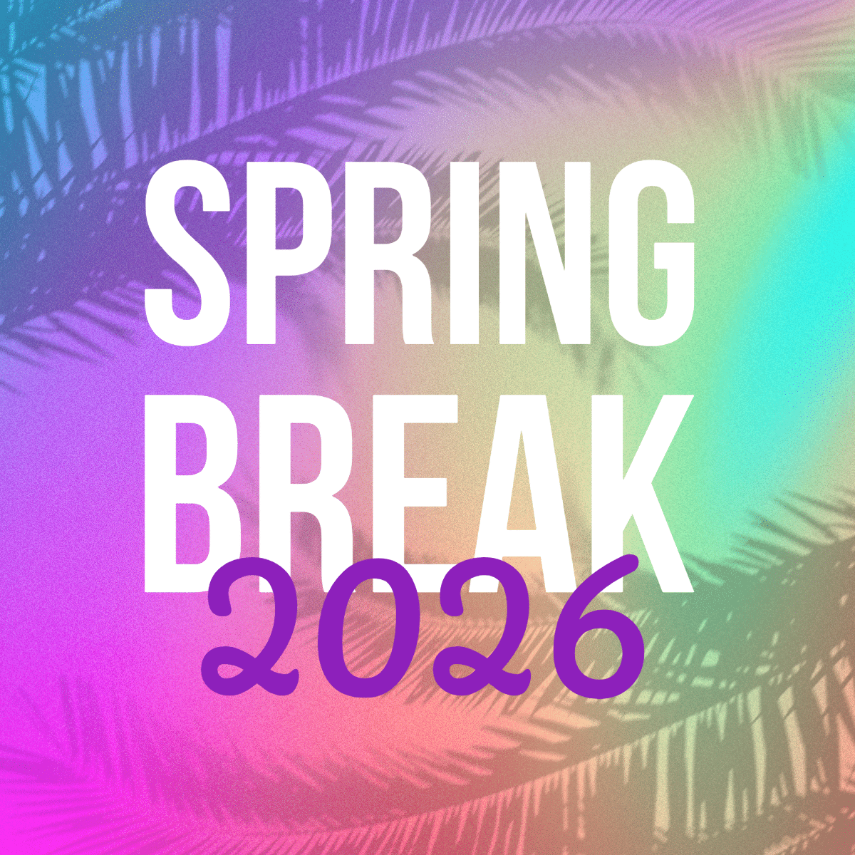 Colorful gradient background with palm tree silhouettes and bold white text reading SPRING BREAK overlaid by the year 2026 in large purple numbers.