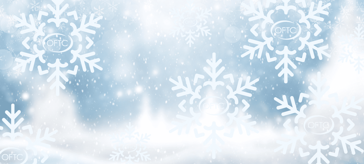 A soft wintry scene with large white snowflakes and gentle snowfall against a blurred blue and white background, evoking festive calm.