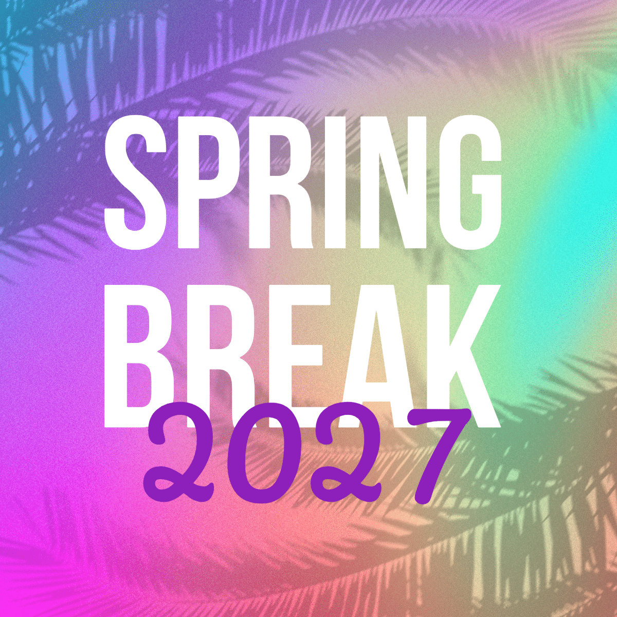 Colorful image with palm tree silhouettes on a pastel gradient background. Bold white SPRING BREAK text, purple 2027 below; faint face visible.
